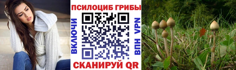 Галлюциногенные грибы Magic Shrooms как найти наркотики Саратов